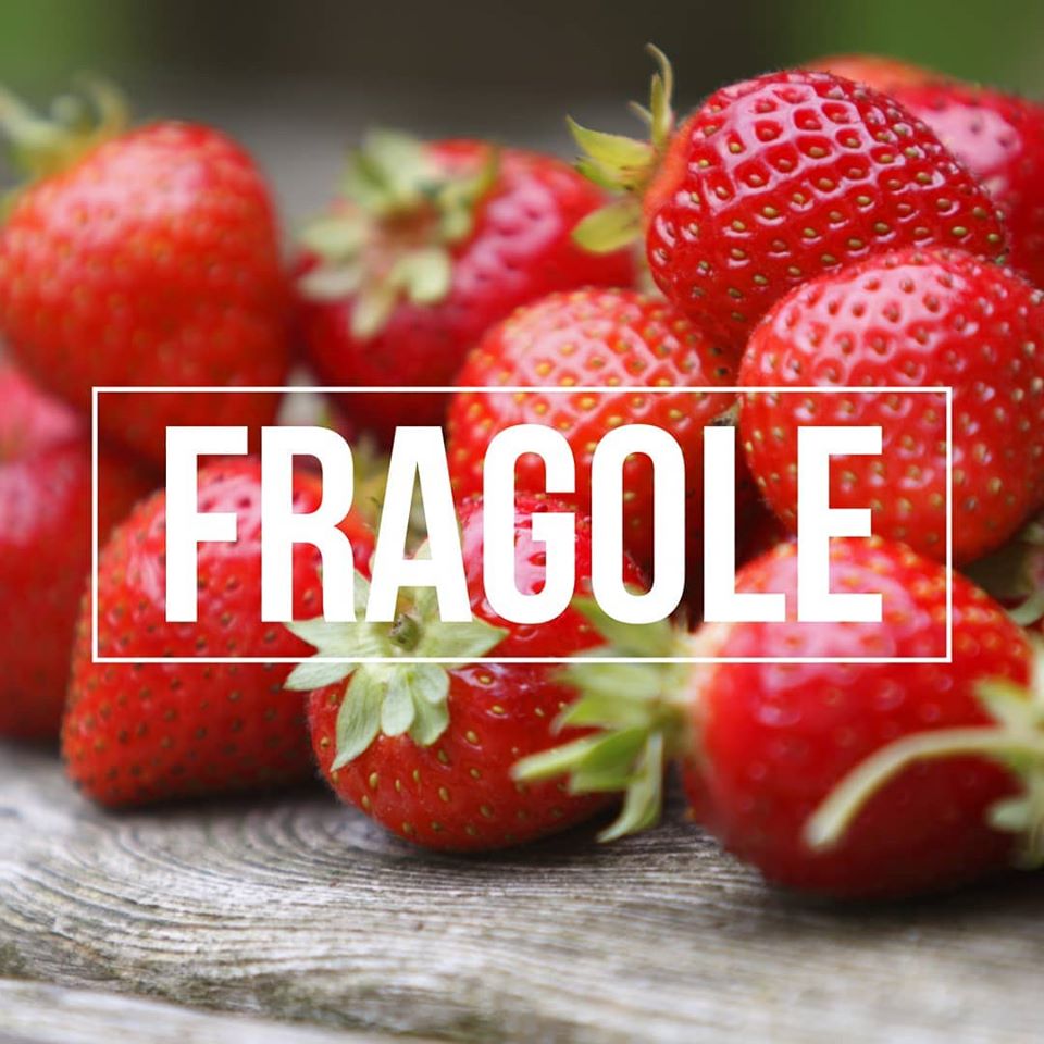 fragole