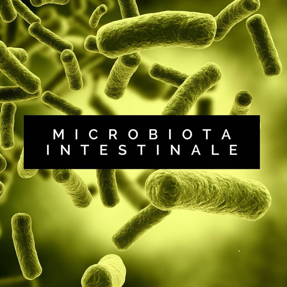Microbiota intestinale
